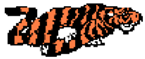 Decal - Tiger - Right